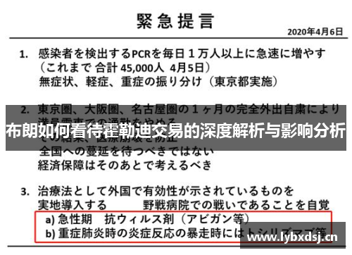 布朗如何看待霍勒迪交易的深度解析与影响分析